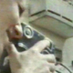 Illustration for article titled Israel: A Home Movie